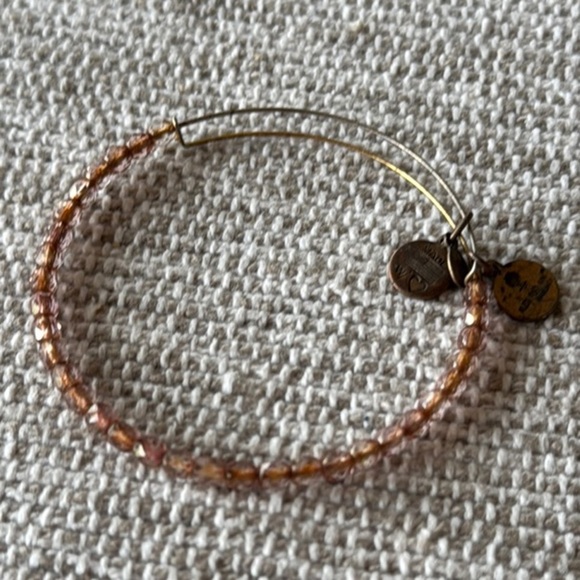 Alex and Ani Gold and Brown Modern Bracelet - Picture 1 of 2